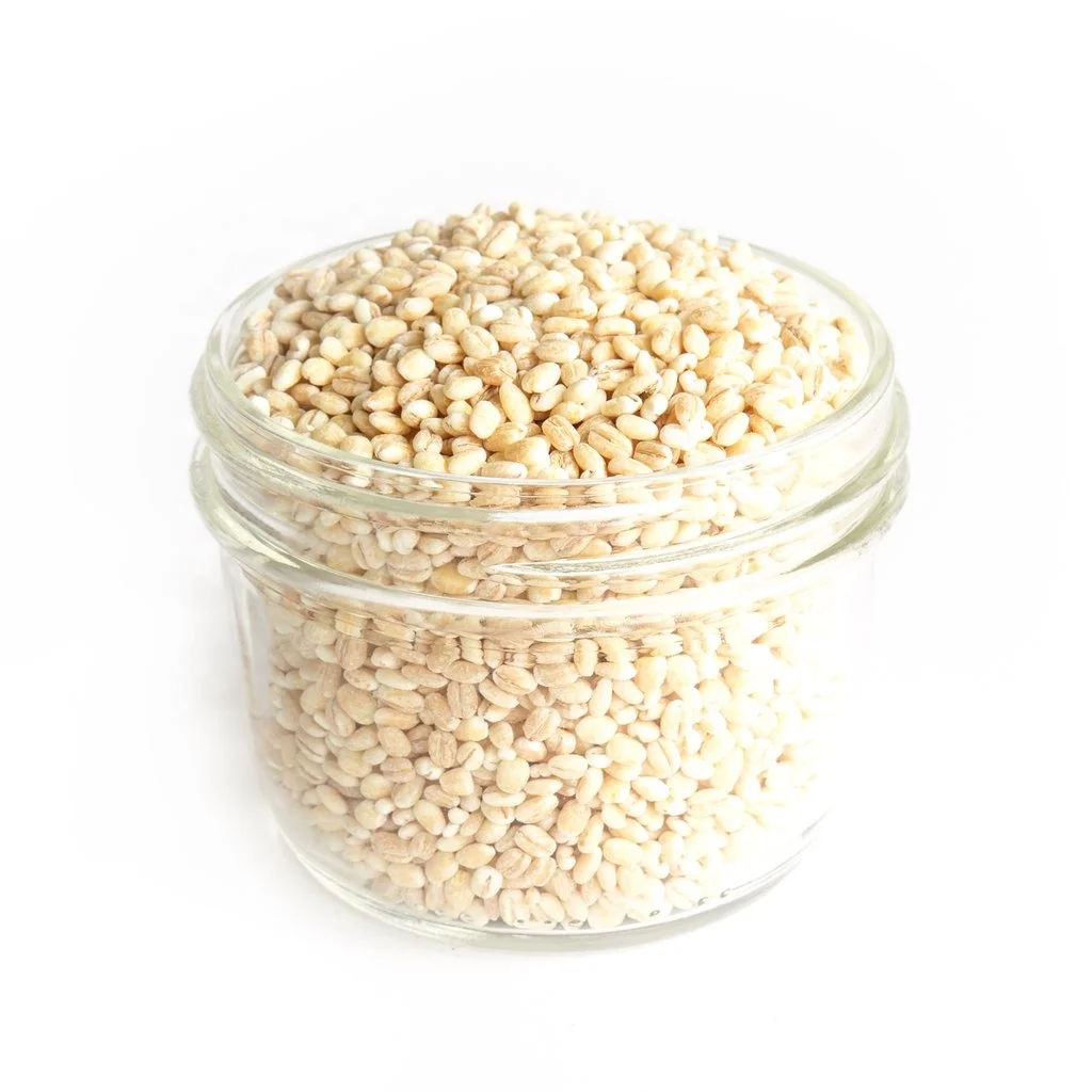Wholesale Good Quality Beneficial in Nutrients Barley Grains