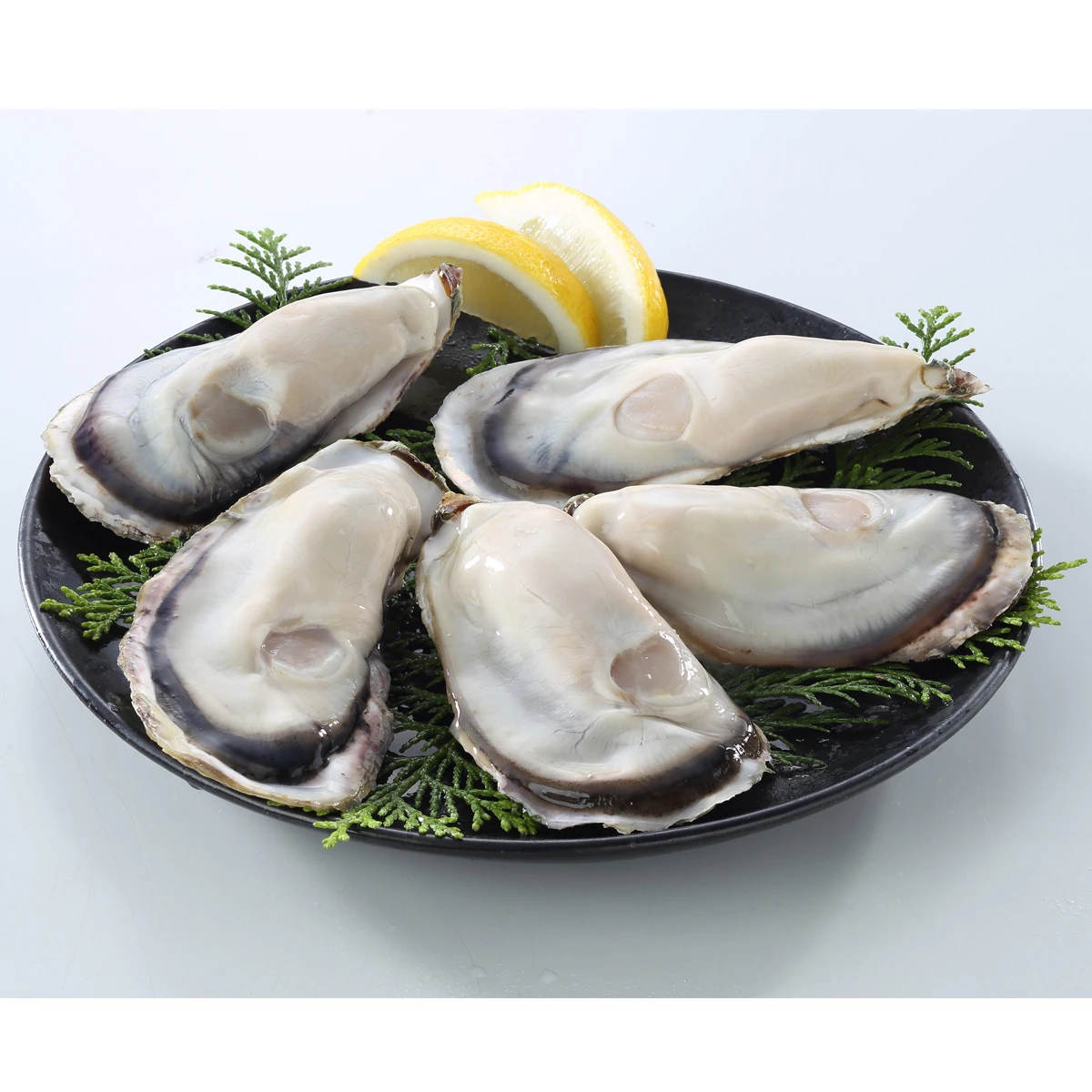 Frozen SMART OYSTER FRESH, EAZY TO EAT, eaten all seasons, no food loss Frozen Oyster with Shell