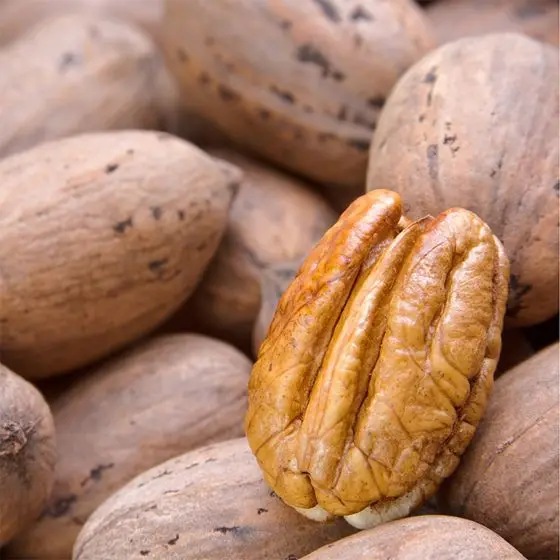Оптом Halves Pecans/органические орехи Pecan по лучшей