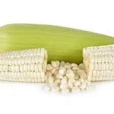 white maize2.jpg