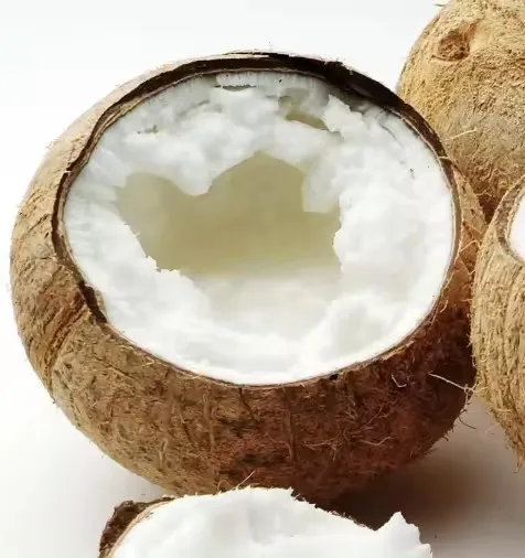 PURE HIGH QUALITY FRESH COCONUT MACAPUNO COCONUT ORGANIC MACAPUNO FRESH USE TO DESSERT