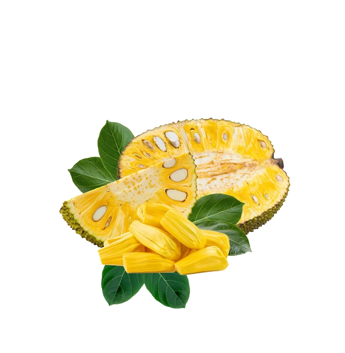Тропические фрукты премиум-класса сладкий вкус свежий Jackfruit 100% органический натуральный желтый цвет оптовые