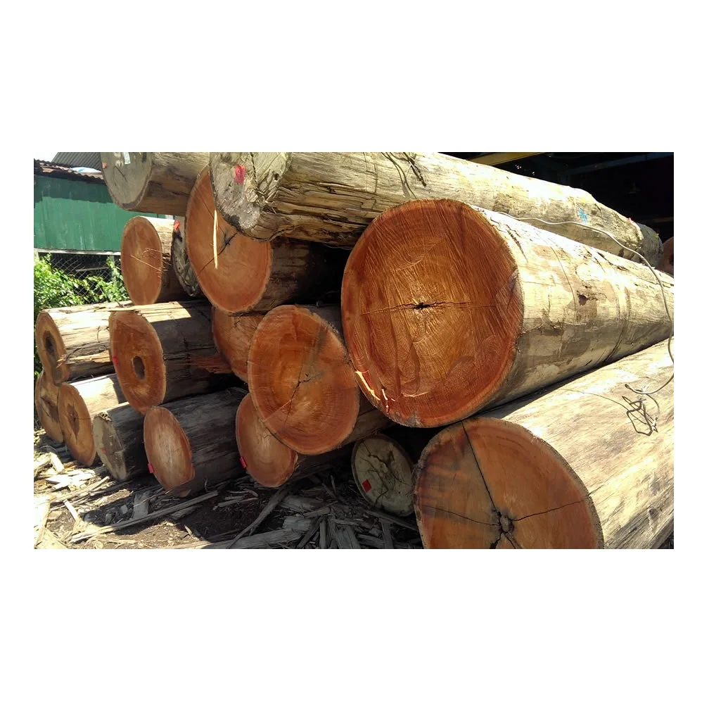 Wholesale Price Meranti Wood Logs Manufacturer, Supplier