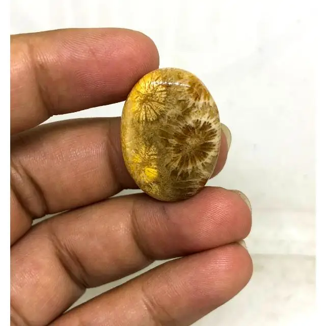 Fossilized Coral Natural cabochon stone crystals chakra healing energy for decoration  for gift handmade hand polish bulk sale