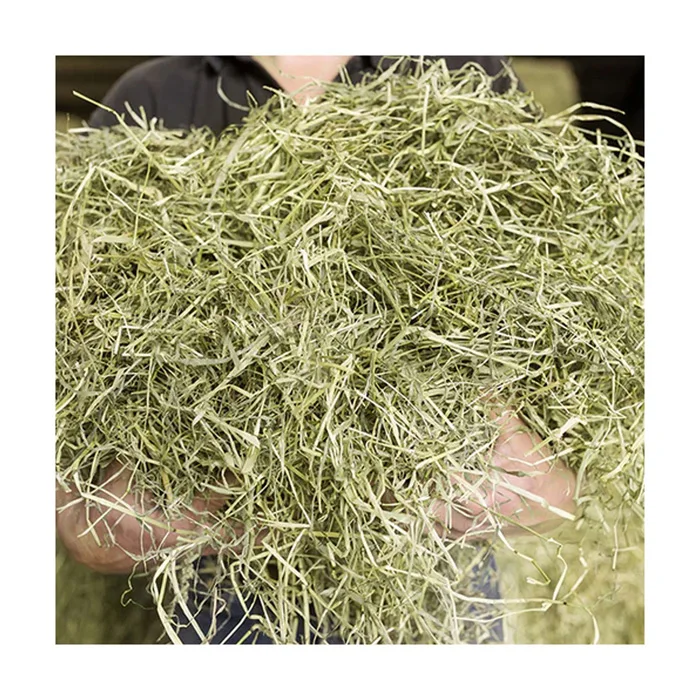 ALFAFA HAY READY for SUPPLY/ Alfalfa hay with High Protein Animal Feeding