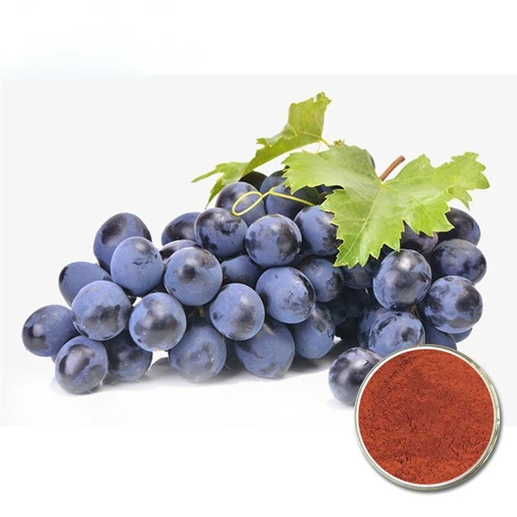Best price with high quality 100% pure and natural proanthocyanidin( OPC ) grape Seed Extract