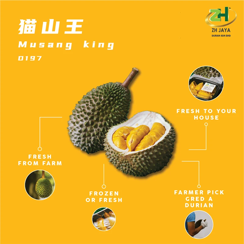 Малайзия 100% гарантия, Премиум свежий Musang King D197 (Свежий фрукт) с горечевидным послевкусием