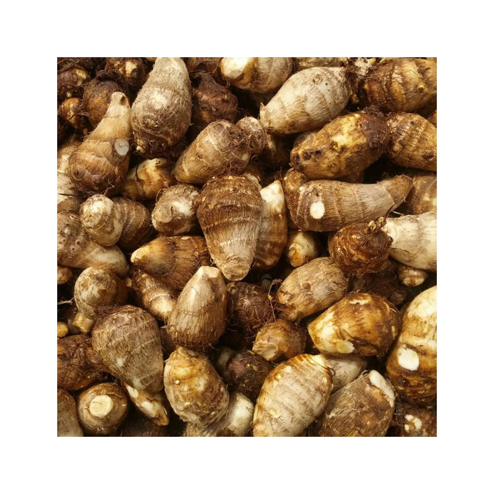 High Quality Fresh Quick Peeled Frozen Taro For Sale