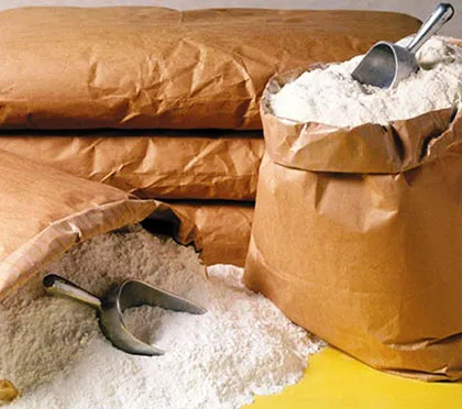 pure camel milk in powder