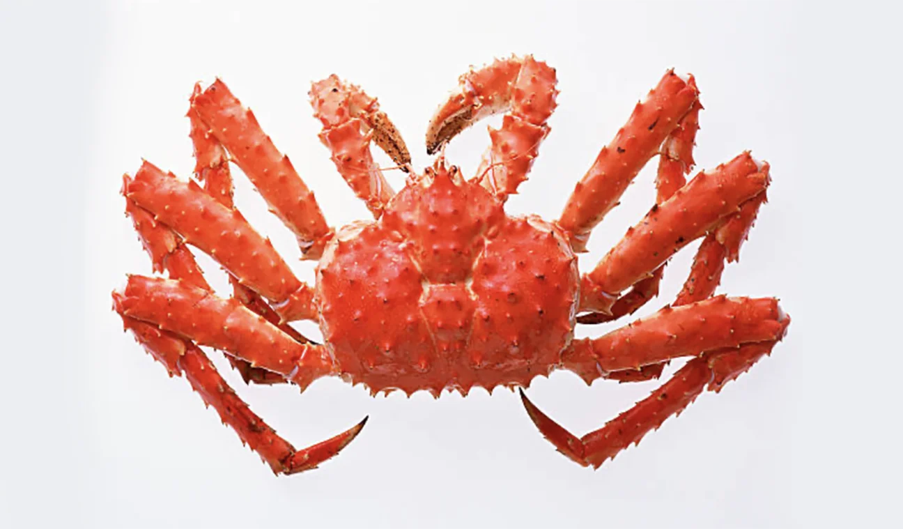 CRAB8.png
