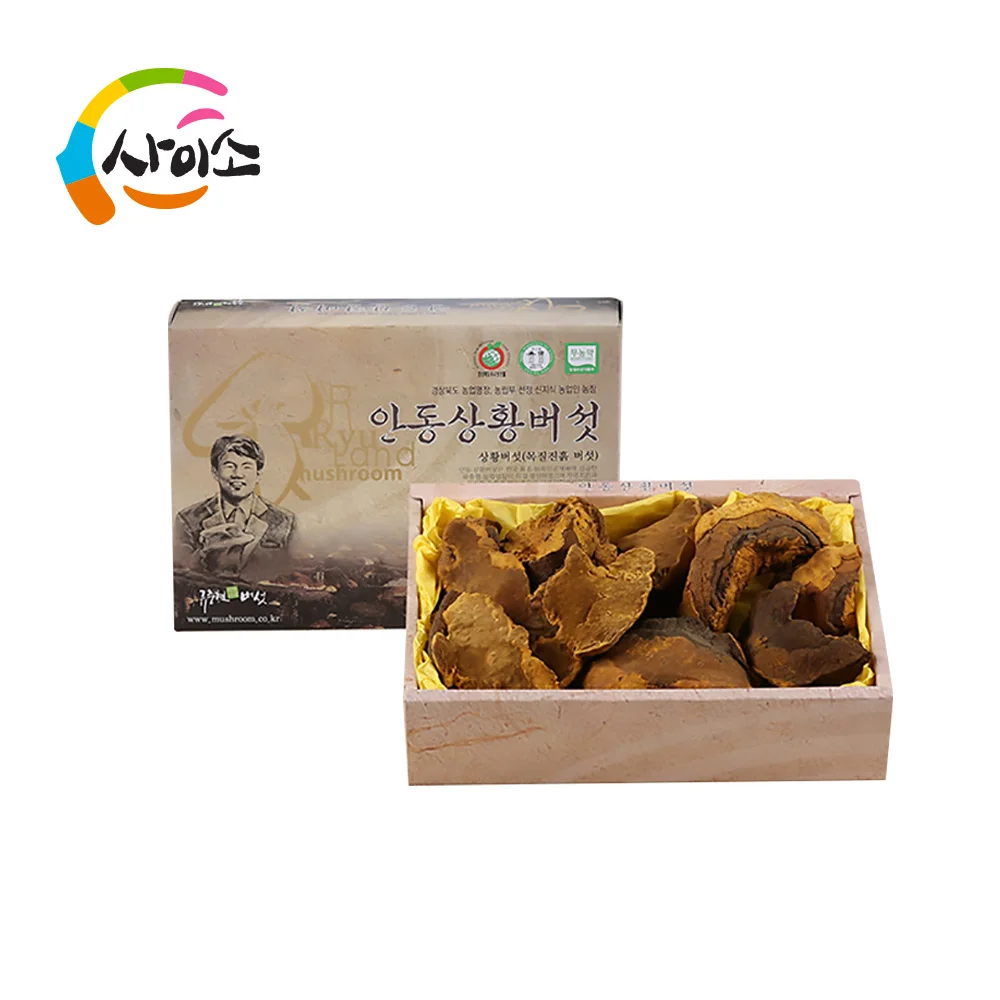 CYSO Korean HACCP Andong Phellinus Linteus Mushroom Herbal Supplements Immunity Support Healthy Food Dried whole mushroom