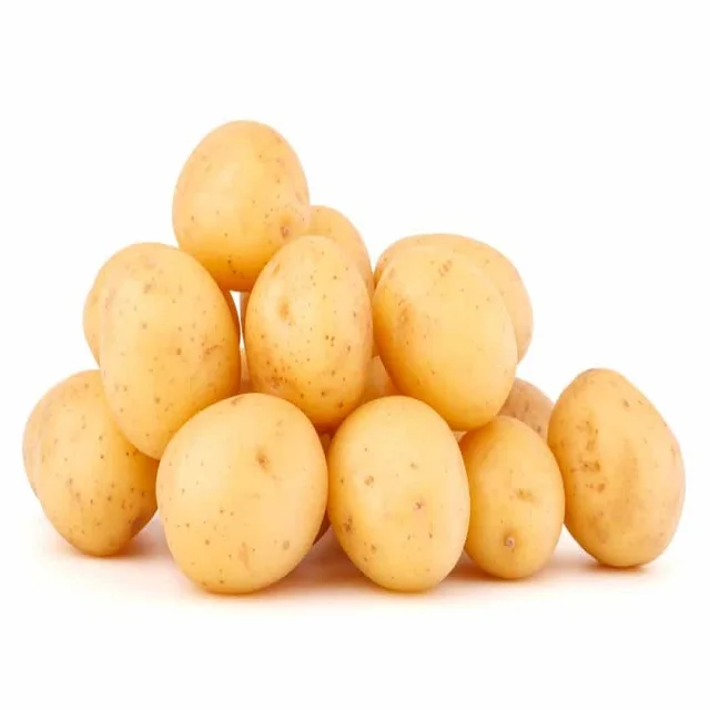 Fresh Potatoes In Stock Wholesale Best Price Buy Cheap Cost Fast Delivery Organic Potatoes Available for Sale