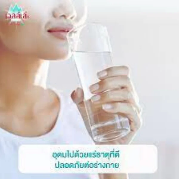 Welle Mineral in can mineral water from natural spring Wholesale mineral water in can from factory Product of Thailand