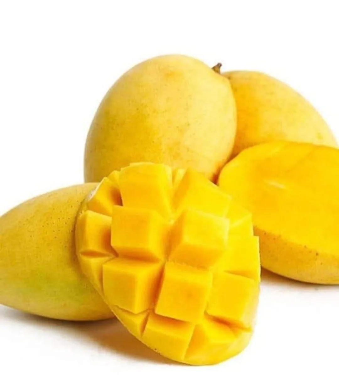 Best Selling Premium Fresh Mango Green & Yellow Mango Natural Taste Fresh mango certified high quality fresh fruits in Vietnam