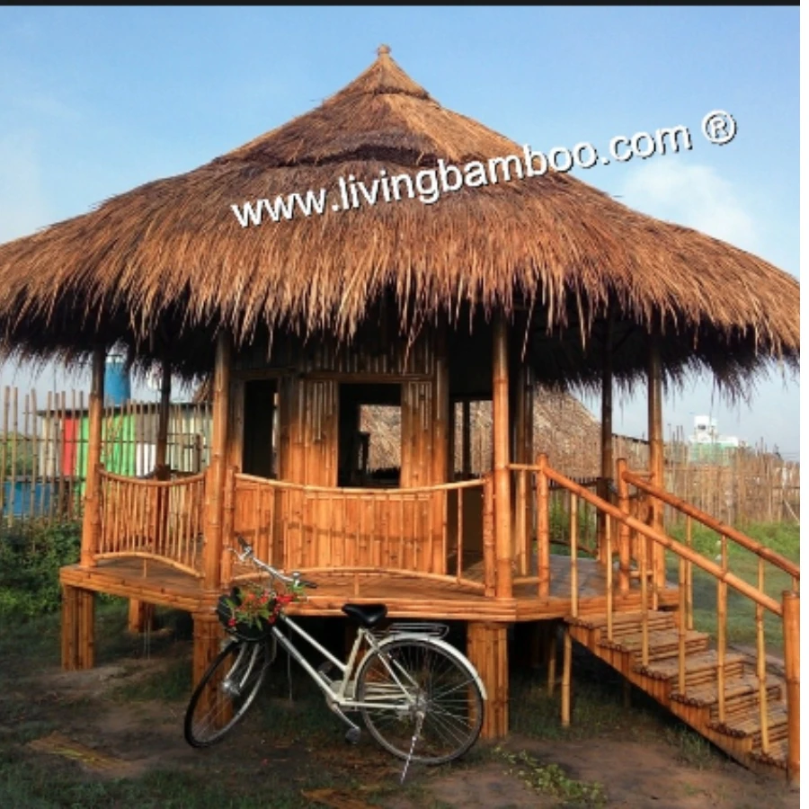 Wholesale Bamboo Plants From Vietnam, Natural Products