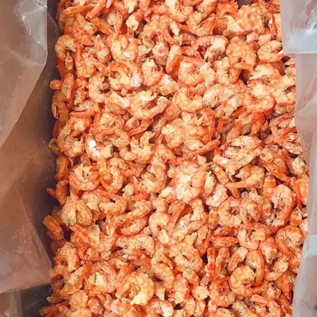 shrimps 5.JPG