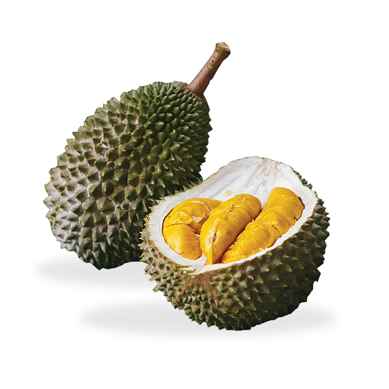 Best Selling High Quality Fresh Musang King D197 Durian (Fresh Fruit) Its Long Finish Has A Layered Unique