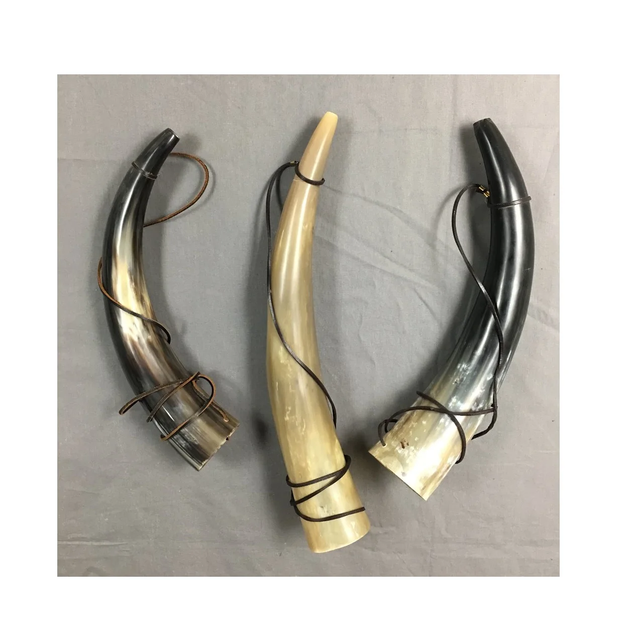 Марко предприятия выдувает гудок в индивидуальном дизайне и многоцветный для охоты фестиваля и встреч для боевых звуков из Индии