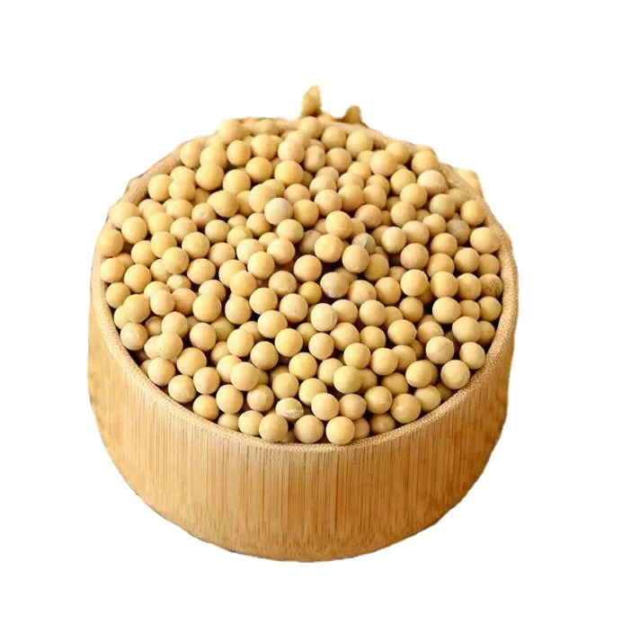 High Quality Natural Soybean Seeds / Soya Bean /Soy Beans in Bulk wholesale price worldwide