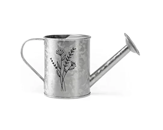 Awesome galvanized iron watering can high quality rust free garden decoration tools supplies cream color customize Design