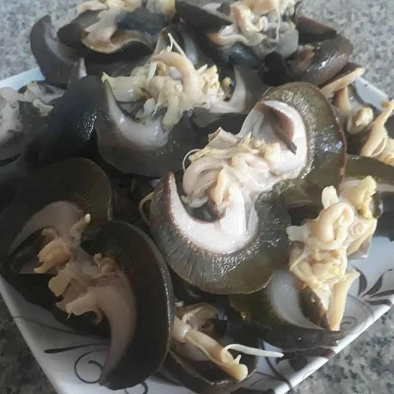 frozen snail meat.jpg