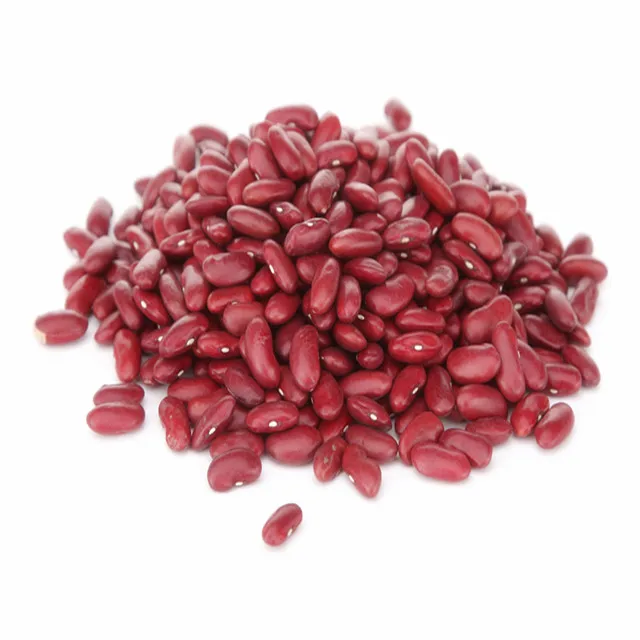 2023 New crop red kidney beans
