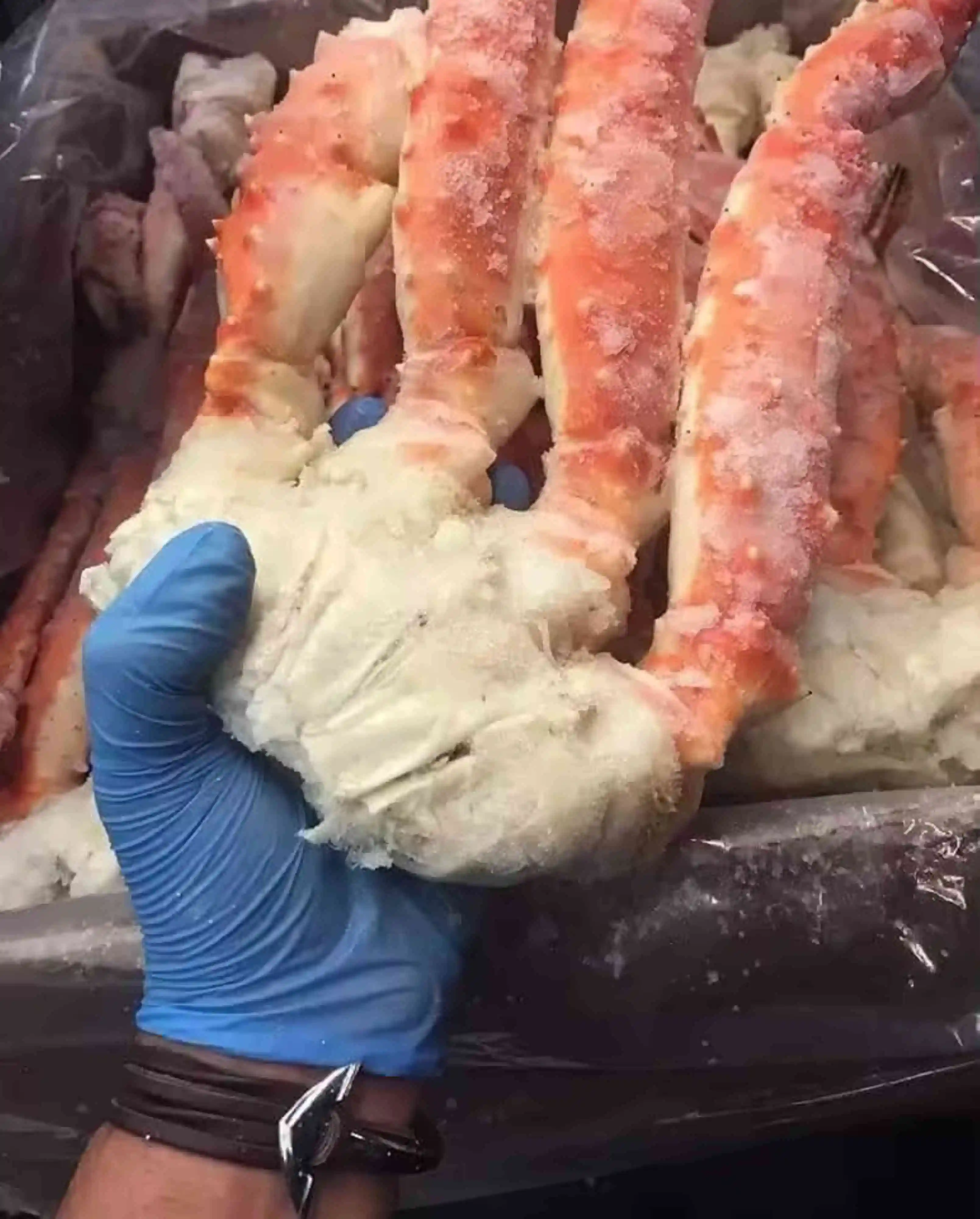 Fresh King Crab/ Boiled King Crab / Crab Meat