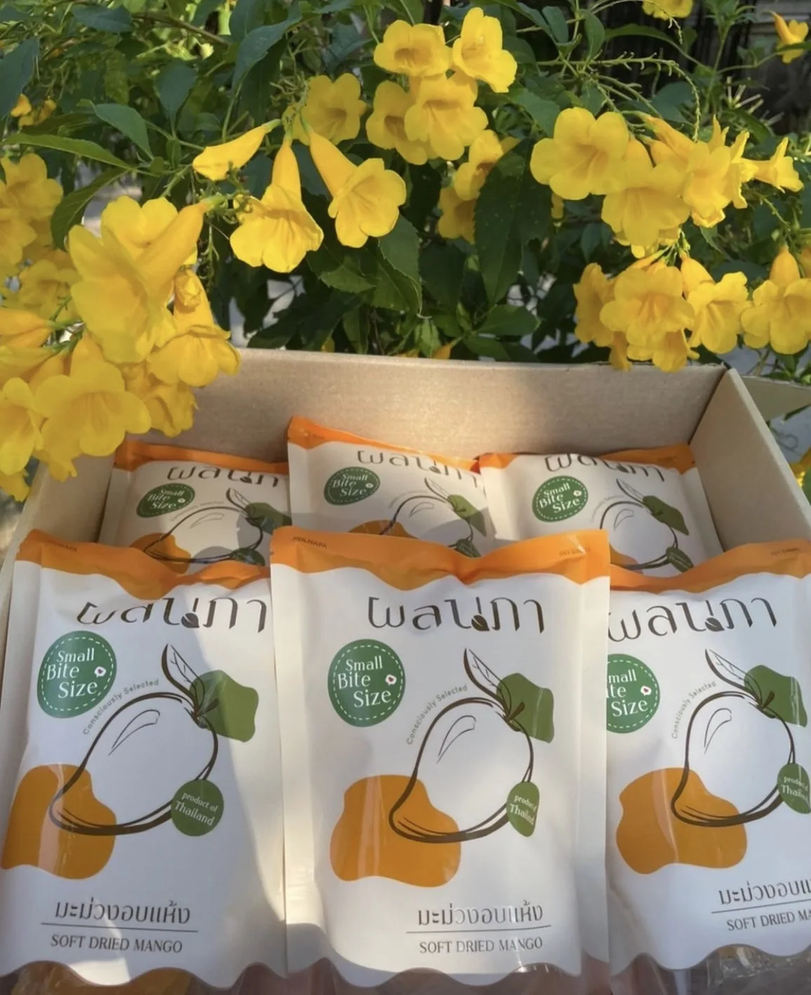 Soft Dried Mangoes Natural Sweetness Normal or Small Bite Size 80 G/Bag Product from Polnapa Mangoes Brand