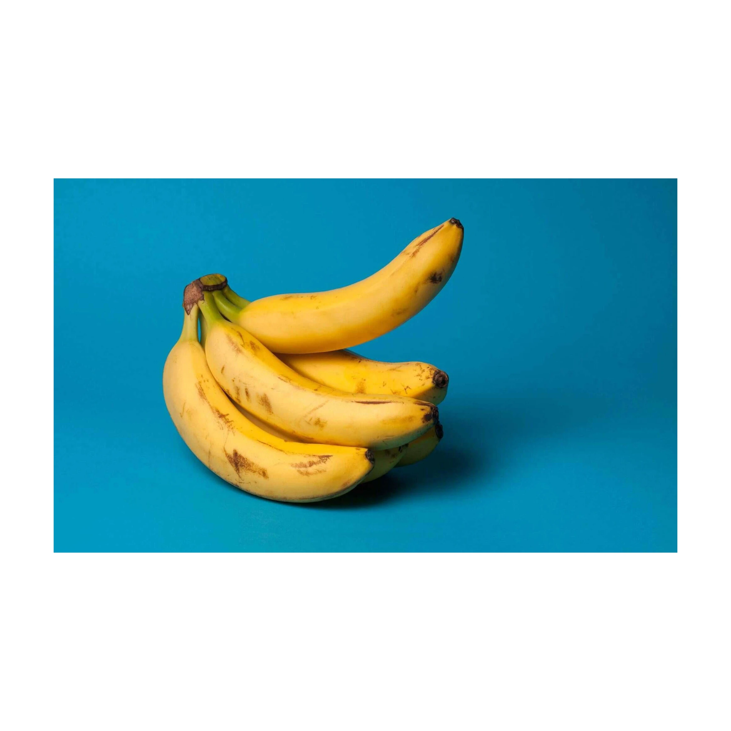 Fresh Banana Sweet Freshly Cropped Bananas