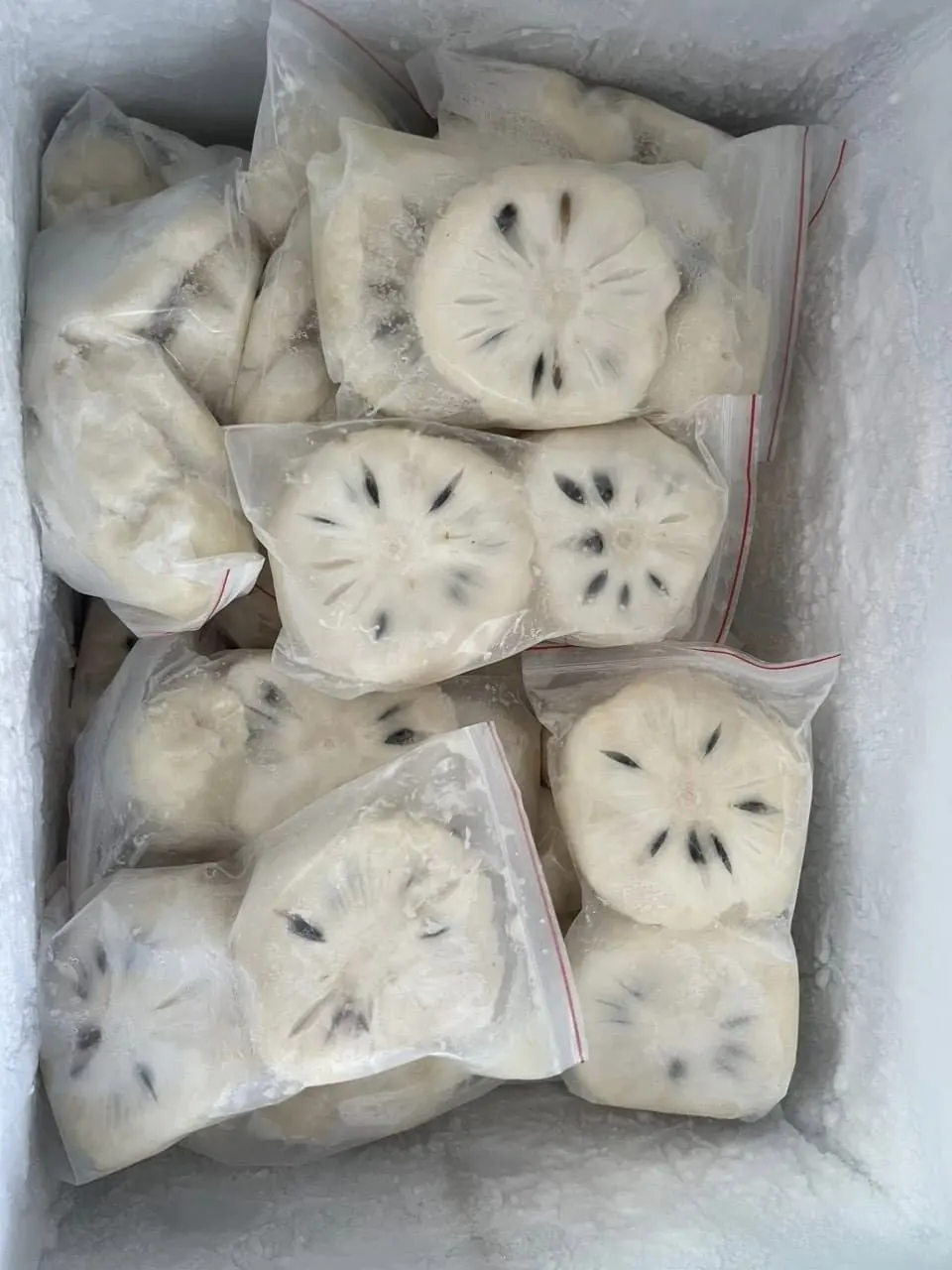 Лучшая цена высококачественный замороженный soursop готов к экспорту оптом из Вьетнама