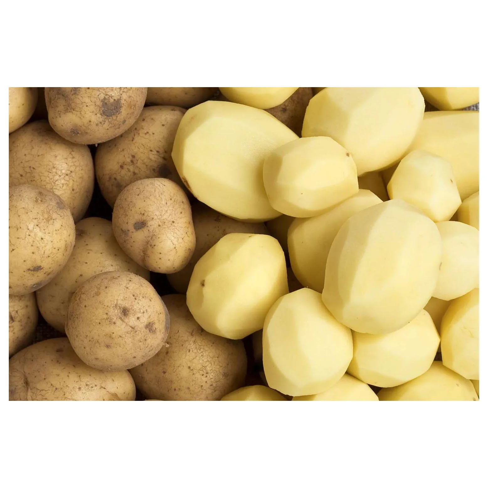 Buy fresh potatoes online cheap Quality potatoes bulk sale near me Premium quality 100% Organic fresh Potatoes