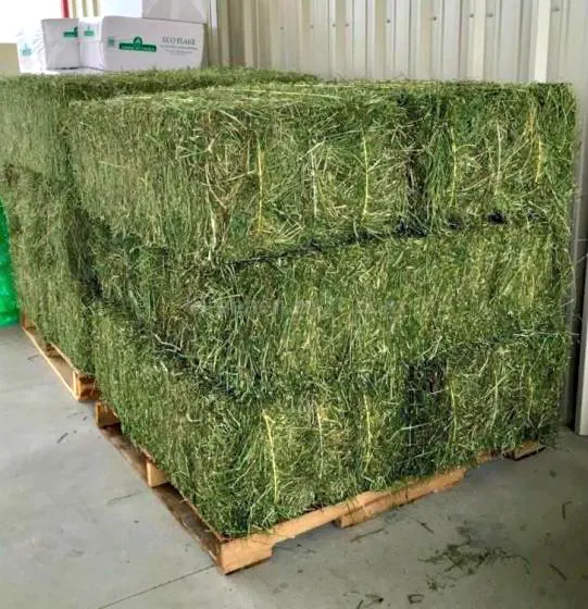 Top Quality Animal Feed Alfafa Hay for Animal Feeding Stuff Alfalfa order Cheap  Quality Stuff Alfalfa