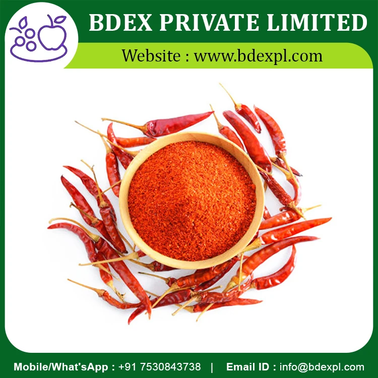 Indian Hot Spice Red Chilli Powder Available At Wholesale Price