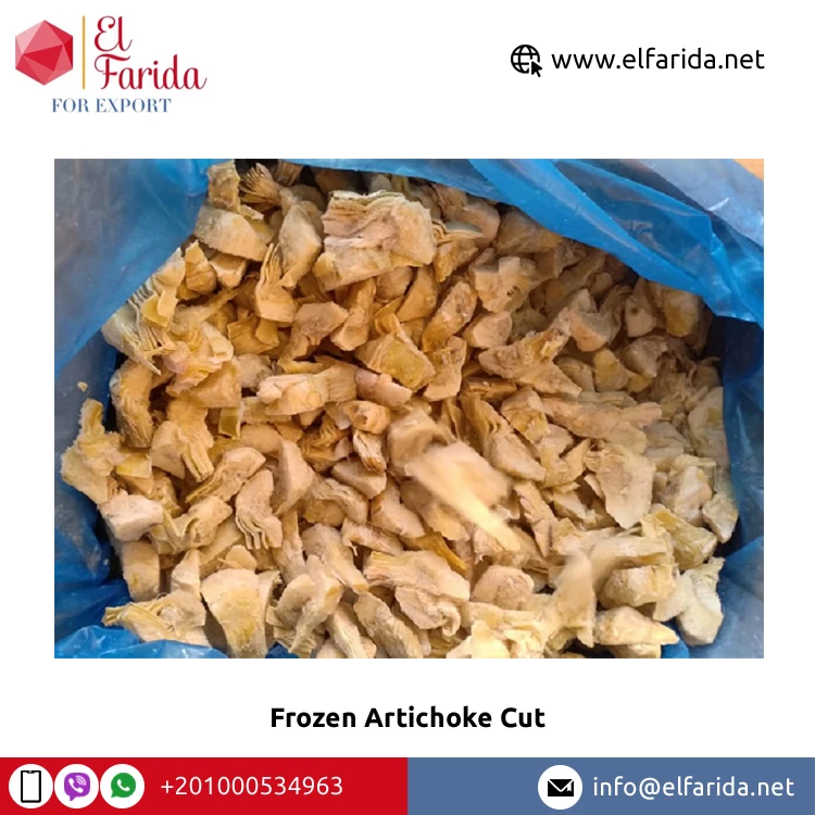 Top Selling Premium Grade Frozen Vegetables Artichoke Cut at Reasonable Market Price from Egypt Origin Exporter