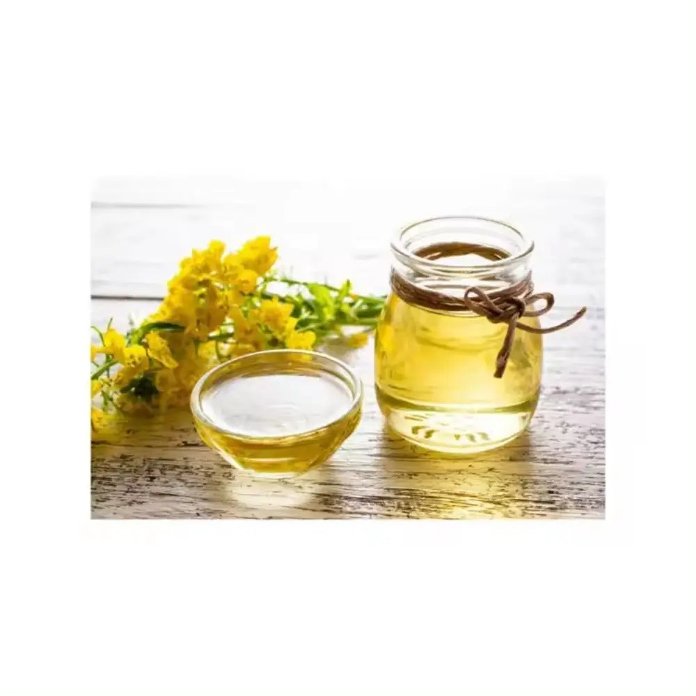 High Quality canola seed high oleic canola oil organic canola good for cholesterol  Rapeseed Oil Bulk For Cooking