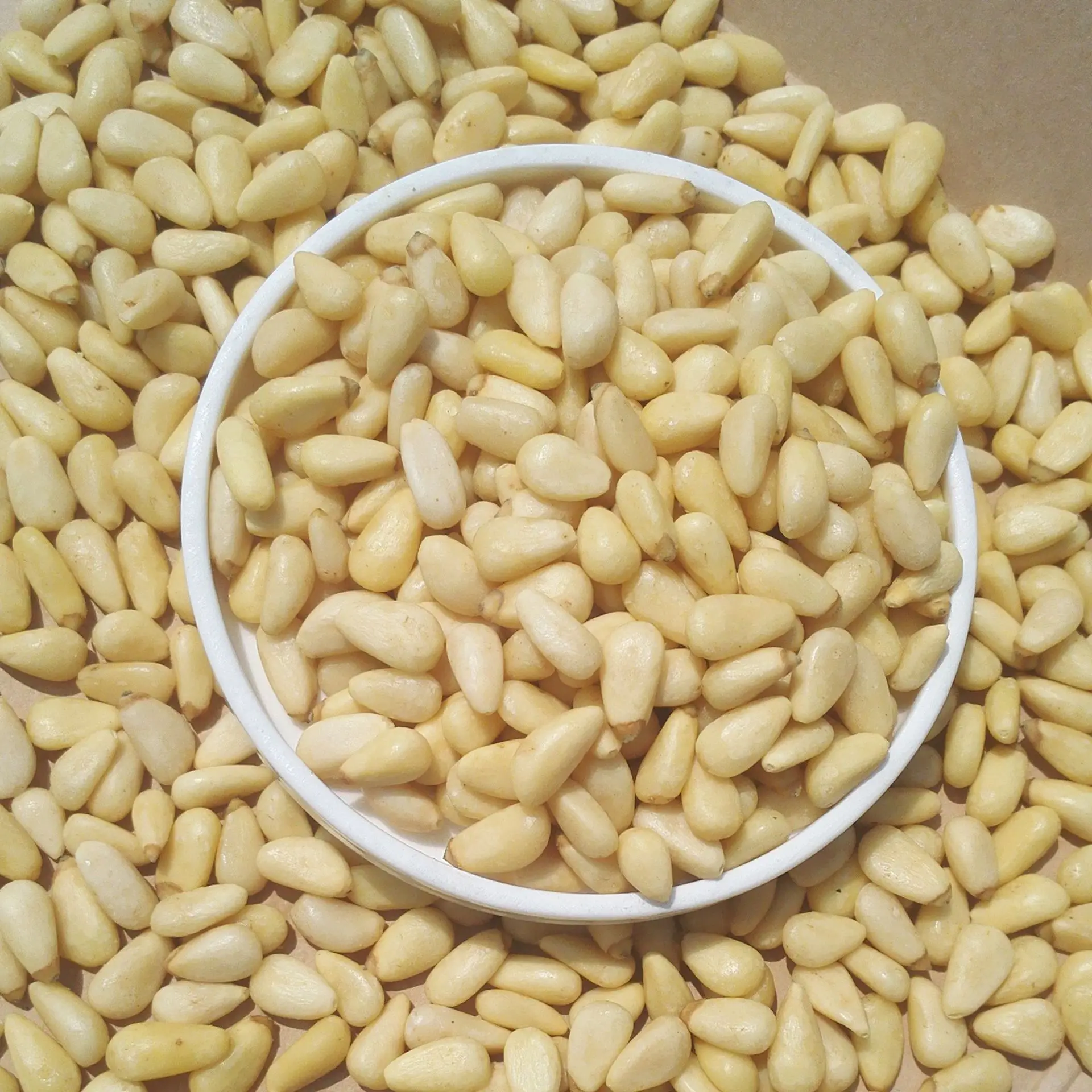 Afghan Pine Nuts Best Pine Nuts For Sale