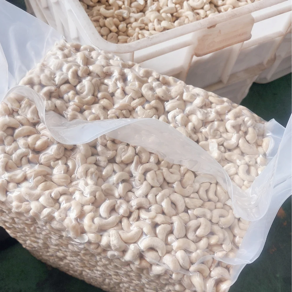 Cheap Bulk Ready To Ship Raw Cashew Nuts Cashew Nuts Cashew Nuts W320, W240, W180, SK, LP2 Low MOQ