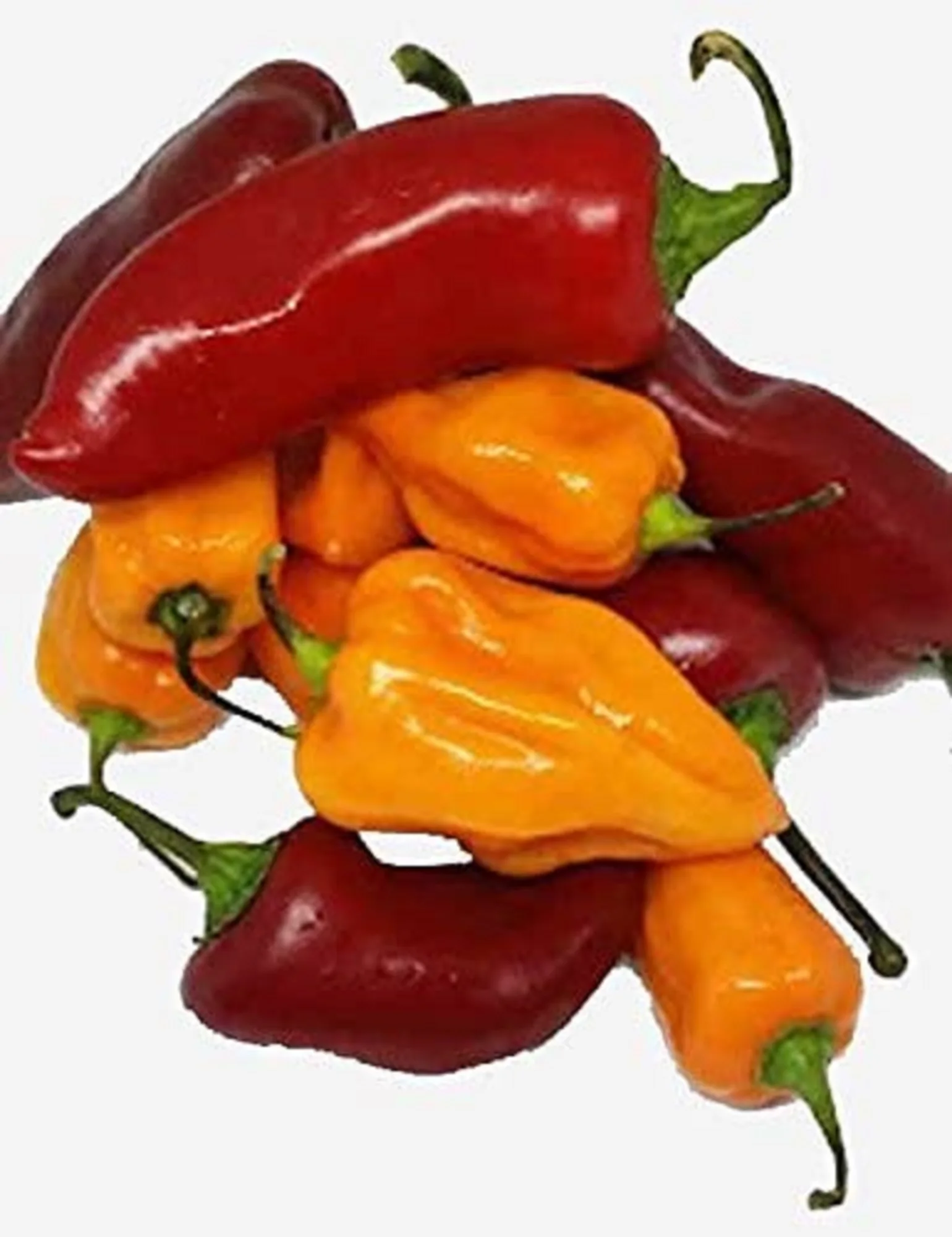 Wholesale Organic  Fresh Peppers yellow Fresh / Red and Green Chilli Pepper for sale