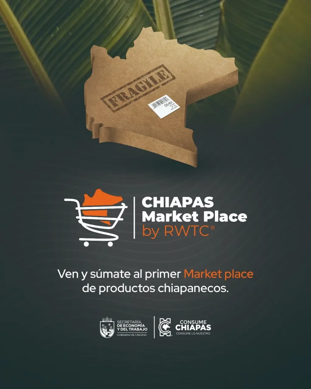 French Toasted Arabica Coffee Decaf From Chiapas Mexico Strictly High Ground Coffee 454gr 16oz Roasted 1lb