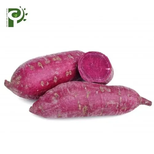 International Standard Yam Potatoes Sweet  Potatoes from Vietnam with good price Organic Fruits
