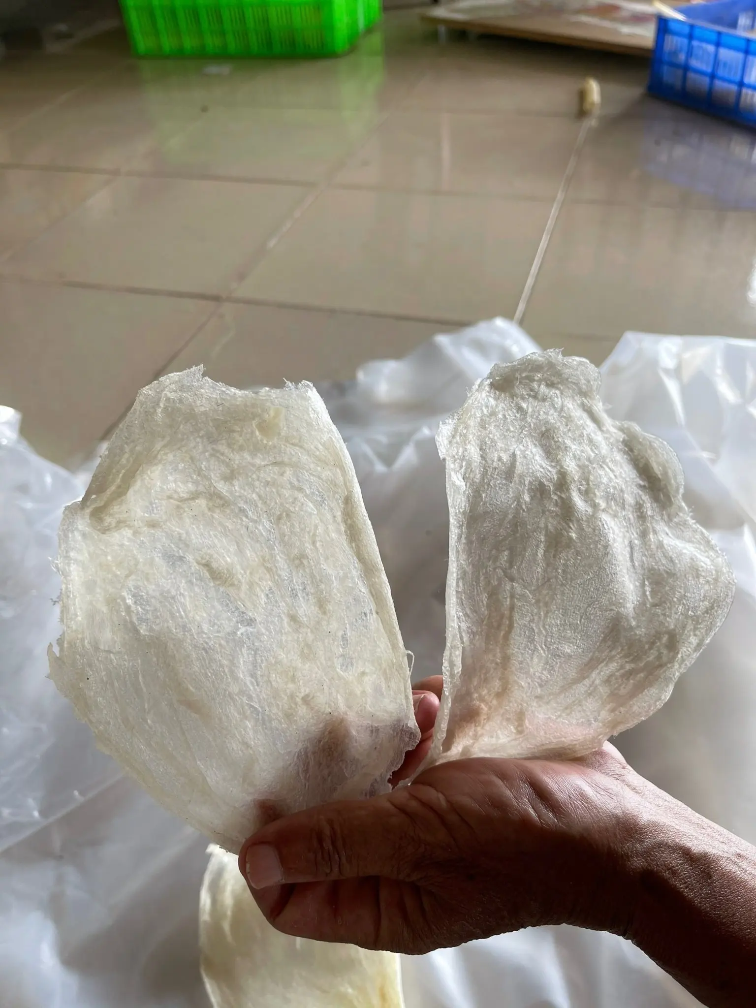 Wholesale dried swim bladder 100% natural dry whole fish maw price from Viet Nam