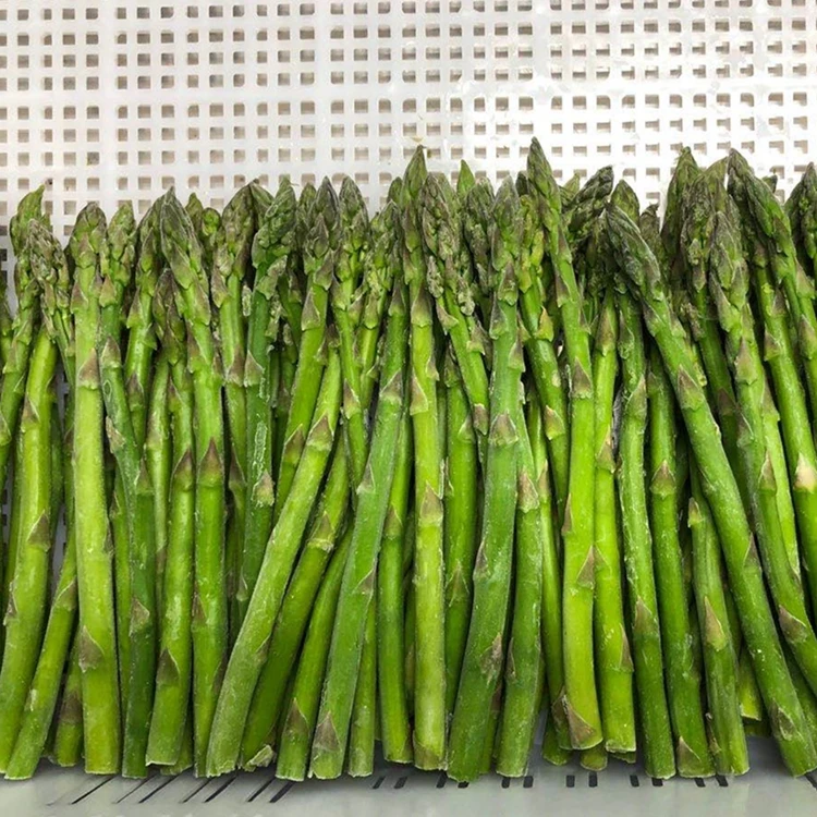 HOT SALE FRESH ASPARAGUS / FROZEN ASPARAGUS
