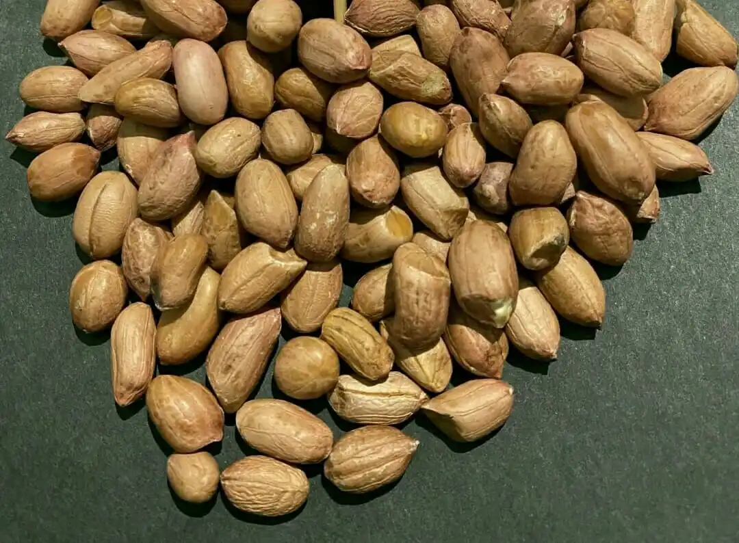 Top quality New crop Bold Peanut 40/50 50/60 70/80 for export best quality and customize packaging