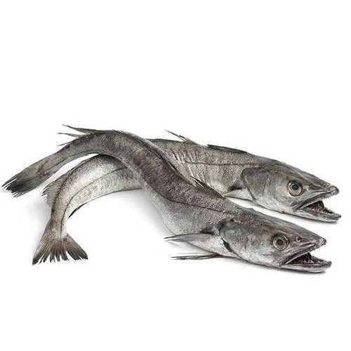 Premium Quality Fresh Frozen Hake Whole Fish and Hake Fillet Product