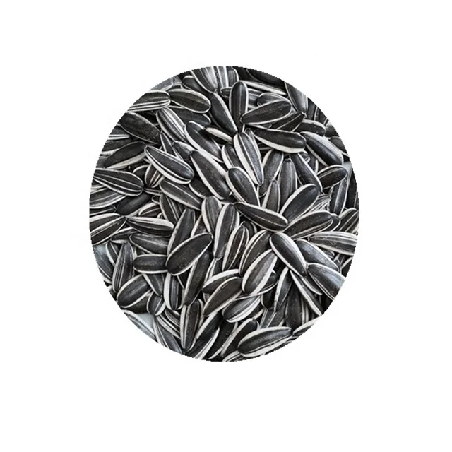 New crop sunflower seeds 601/363/361 from France for eating to export