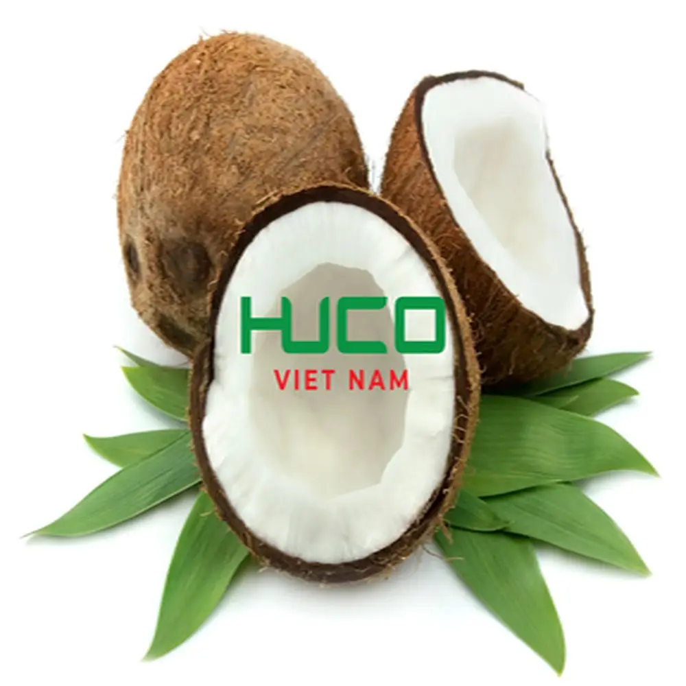 Fresh coconut Top quality best price