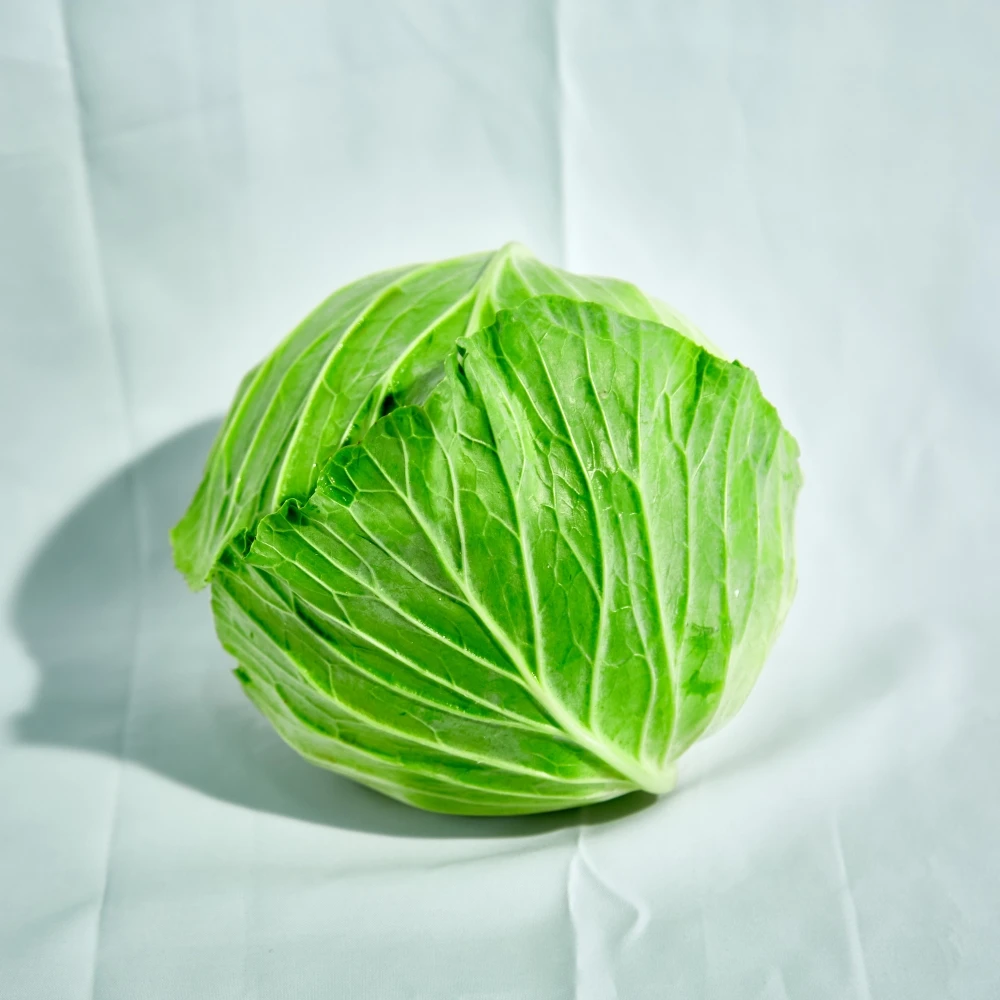 Fresh Round Cabbage Good Quality from VIETNAM Green Crop Style Packing Food Organic GAP Color Pure Feature Weight Natural Origin