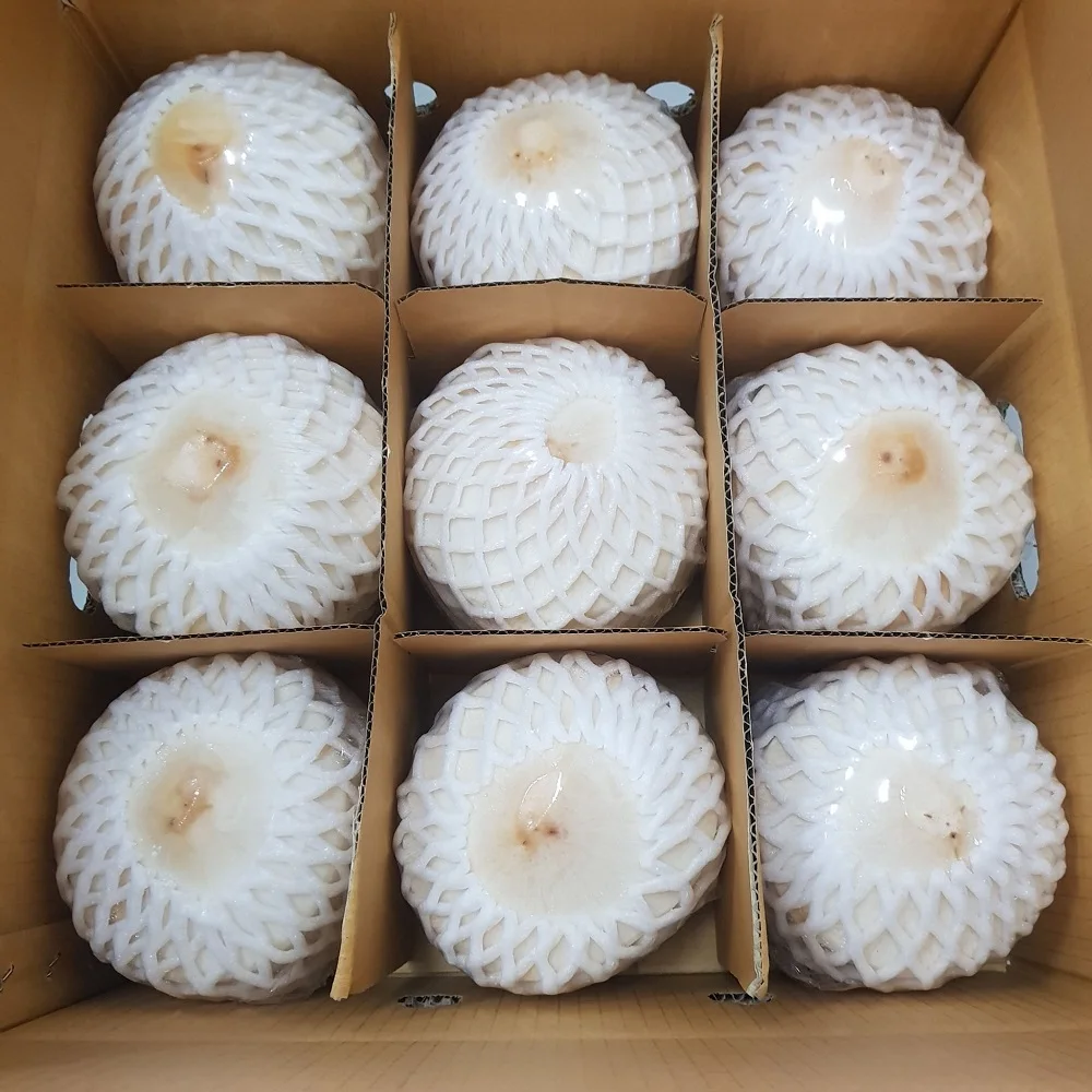 Свежий молодой кокосовый сладкий тропический фрукт премиум класса оптовая продажа экспортной продукции из Таиланда
