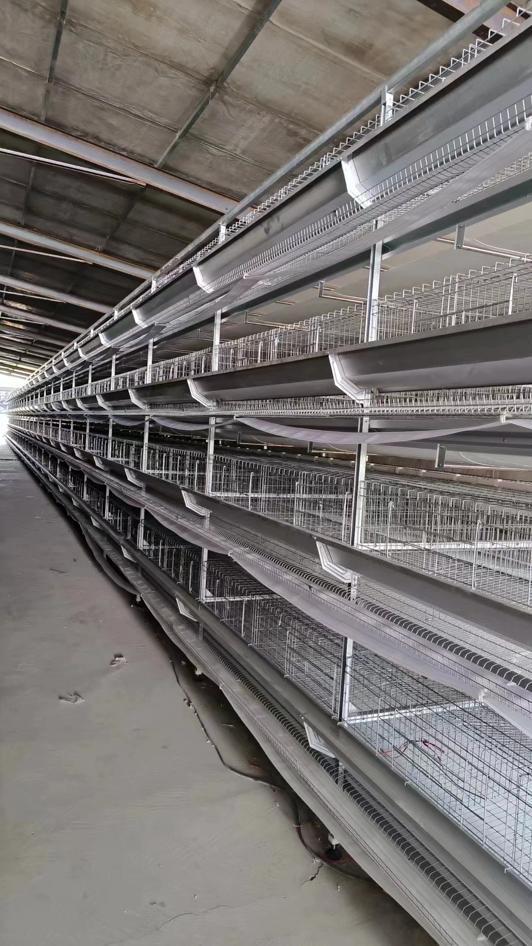 Modern H-Type Design Automatic Chicken Cages for Poultry Farms Steel Material Portable Animal Bird Houses New Used Condition