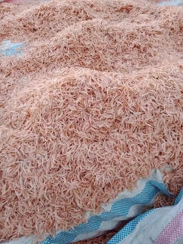 WHOLESALE DRIED BABY SHRIMP TO EXPORT - dried baby shrimp - Seafood Snacks Sun dry baby shrimp